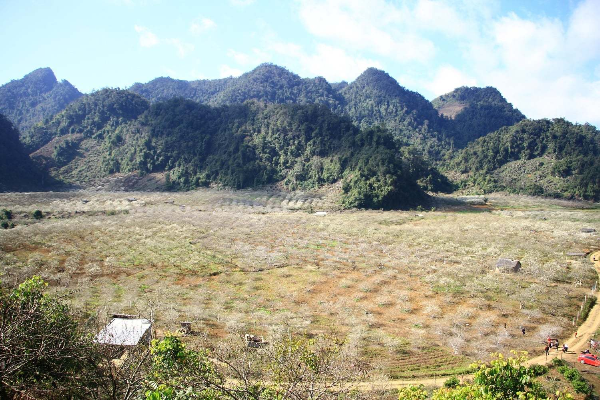 2D1N Moc Chau Tour - photo 6